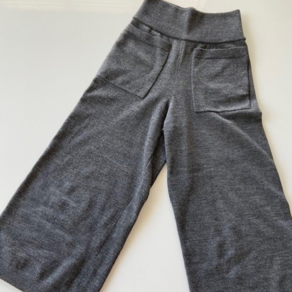 Aritzia Wide Leg Pants